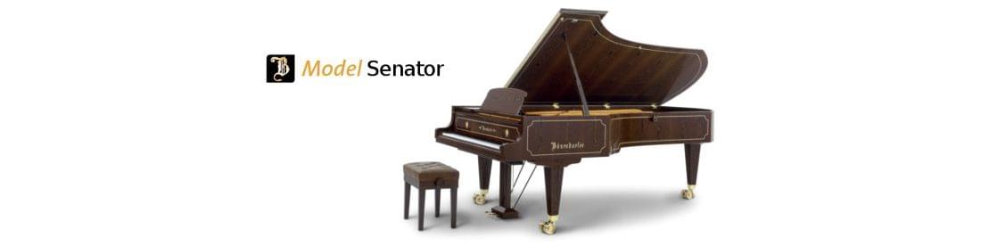 [:es]Imagen piano de cola BÖSENDORFER modelo especial Senator ancho