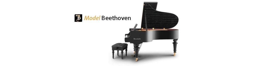 Imagen piano de cola BÖSENDORFER modelo especial Beethoven 