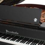 Imagen Piano de cola BÖSENDORFER modelo especial Beethoven detalle frontal