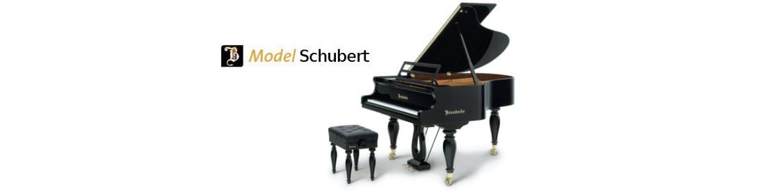 Imagen piano de cola BÖSENDORFER modelo especial Schubert 