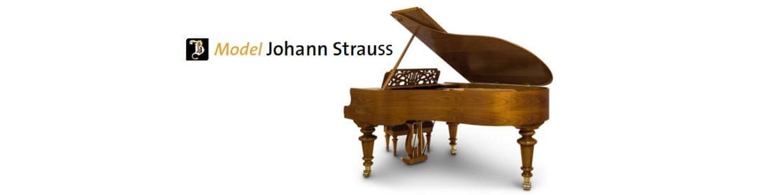 Imagen piano de cola BÖSENDORFER modelo especial Strauss 