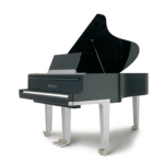 Imatge d'un piano de cua BÖSENDORFER. Edició especial de disseny Porsche